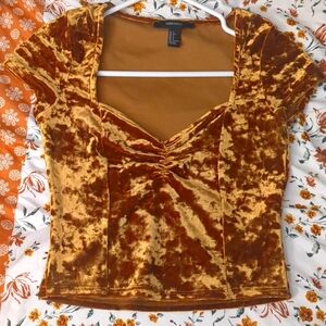 Golden crushed velvet cropped up